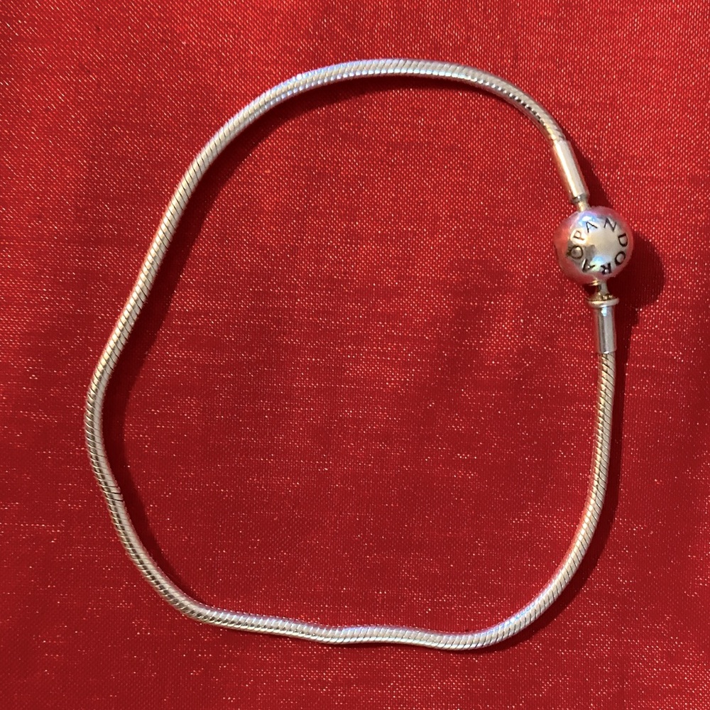 Pandora Bracelet.